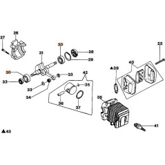 CUSCIN.A SFERE 12X32X10 6201 X ALB.MOT. ORIGINALE EMAK 50030012R | Newgardenstore.eu