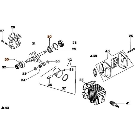 CUSCIN.A SFERE 12X32X10 6201 X ALB.MOT. ORIGINALE EMAK 50030012R | Newgardenstore.eu