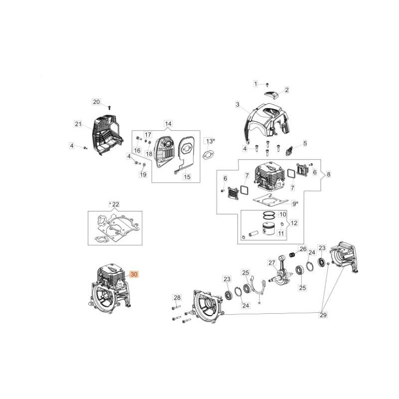 SHORT BLOCK DCS 540 ORIGINALE EMAK 61530181R