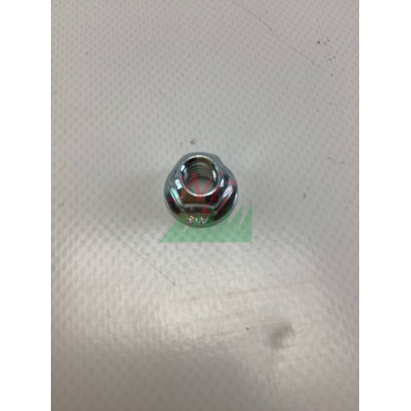 Selbstsichernde Mutter Rasentraktor ORIGINAL GIANNI FERRARI 00111250021 | Newgardenstore.eu