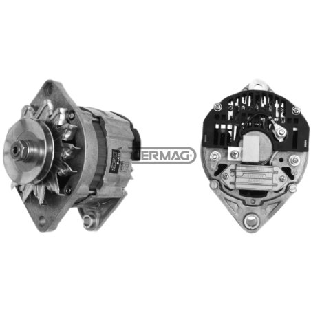 Alternator Data 28 V - 55 A COMPATIBLE - 12818 | Newgardenstore.eu