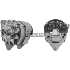 Alternator Data 14 V - 65 A COMPATIBLE - 13146 | Newgardenstore.eu