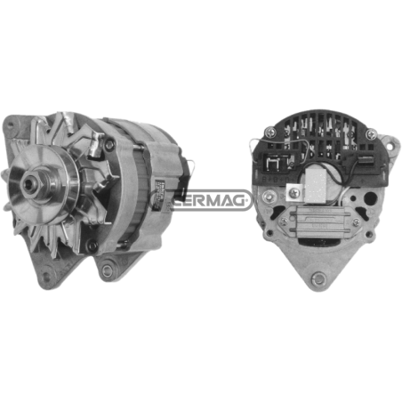 Alternator Data 14 V - 65 A COMPATIBLE - 13146 | Newgardenstore.eu