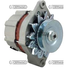 Alternatore Dati 12 V - 55 A COMPATIBILE - 13359 | Newgardenstore.eu