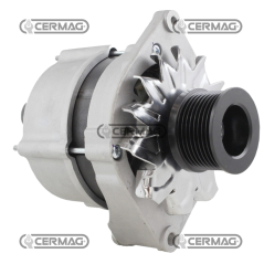 Alternateur de données 12 V - 120 A COMPATIBLE - 13366 | Newgardenstore.eu