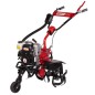 ZANETTI ZEN50.21SG 149cc 2.5kW cultivador 4 azadas gasolina tractor segmento