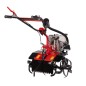 ZANETTI ZEN50.21SG 149cc 2.5kW tiller 4 hoes petrol tractor for segment