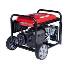 Generador de gasolina abierto ZANETTI ZBG7003CEA 420cc monofásico trifásico 230V 400V