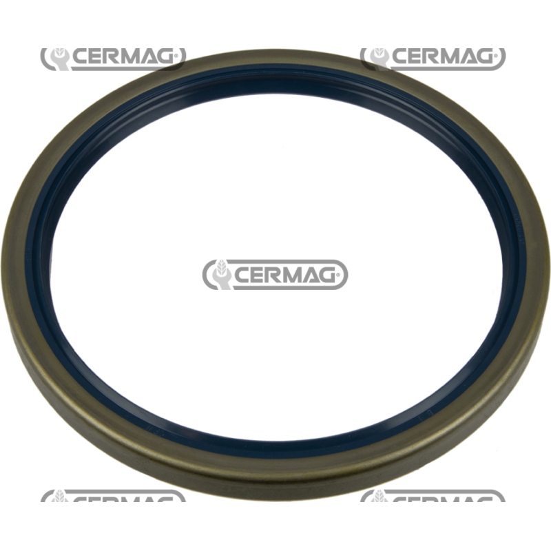 Anello paraolio Dimensioni 145x170x13 mm Tipo B1SL COMPATIBILE - 65207