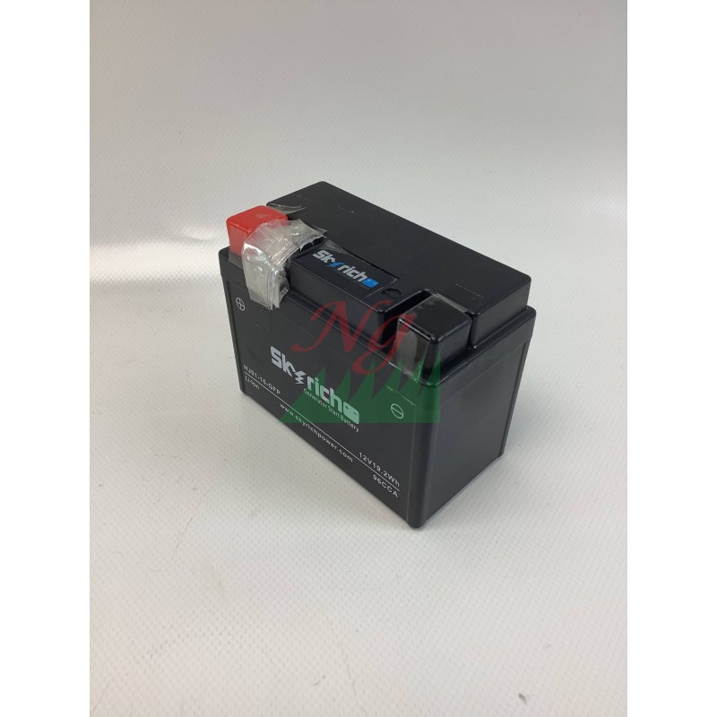 12V-Lithium-Batterie-Generator Modelle PGE48iS ORIGINAL OLEOMAC L66152716