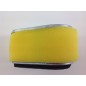 Filtro aria trattorino rasaerba compatibile KAWASAKI FC150V A00 FC150V S03 11013-2120