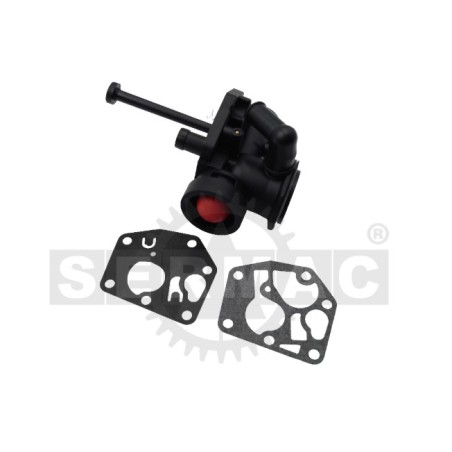 Moteur à carburateur compatible avec BRIGGS & STRATTON 498809 498811 794147 795477 | Newgardenstore.eu