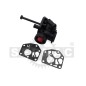 Vergasermotor kompatibel mit BRIGGS & STRATTON 498809 498811 794147 795477