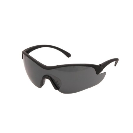 Occhiali di protezione leggeri e confortevoli BLUEBIRD con lente scura | Newgardenstore.eu