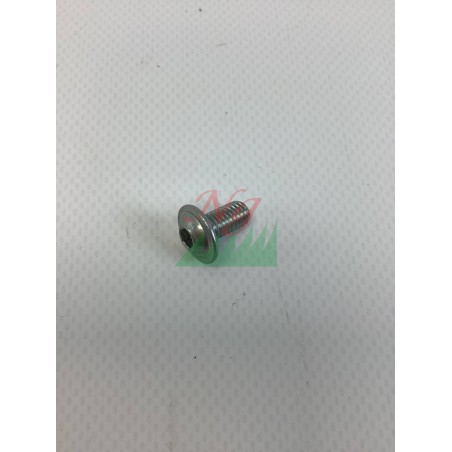 Vis M6X12 pour tracteur tondeuse PG SR, ORIGINAL GIANNI FERRARI 00111450014 | Newgardenstore.eu