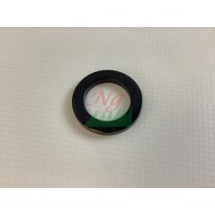 Rondella ORIGINALE BRIGGS & STRATTON 1960703SM | Newgardenstore.eu