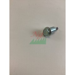 Original BRIGGS & STRATTON lawn mower motor guide screw 1728976SM | Newgardenstore.eu