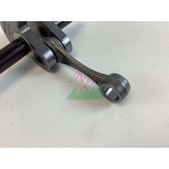 Crankshaft brushcutter models FS75 ORIGINAL STIHL 41370300401 | Newgardenstore.eu