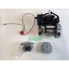 Blocco motore ORIGINALE STIGA motosega A305 - APR25 - SPR255 - EP2525CS