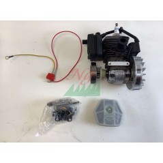 Blocco motore ORIGINALE STIGA motosega A305 - APR25 - SPR255 - EP2525CS | Newgardenstore.eu