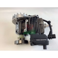 Blocco motore ORIGINALE STIGA motosega A305 - APR25 - SPR255 - EP2525CS | Newgardenstore.eu