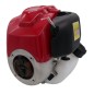 Motor GREENCUTTER completo de 4 tiempos y 25 cc, distancia entre ejes de 70 mm, diagonal de 100 mm