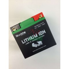 SKYRICH lawn tractor lithium battery capacity 32Ah voltage 12V | Newgardenstore.eu