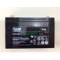 FIAMM FG11201 6V 12 Ah batterie plomb-acide hermétique rechargeable