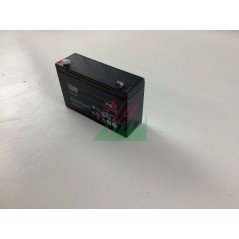 FIAMM FG11201 Batería recargable hermética de plomo-ácido 6V 12 Ah | Newgardenstore.eu