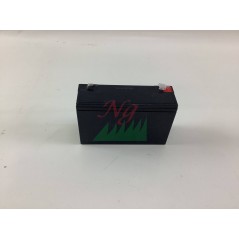 FIAMM FG11201 6V 12 Ah batterie plomb-acide hermétique rechargeable | Newgardenstore.eu