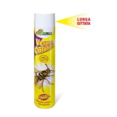 AL.FE fast-acting spray insecticide against wasps and hornets 750ml | Newgardenstore.eu
