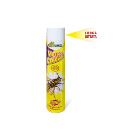 AL.FE fast-acting spray insecticide against wasps and hornets 750ml | Newgardenstore.eu