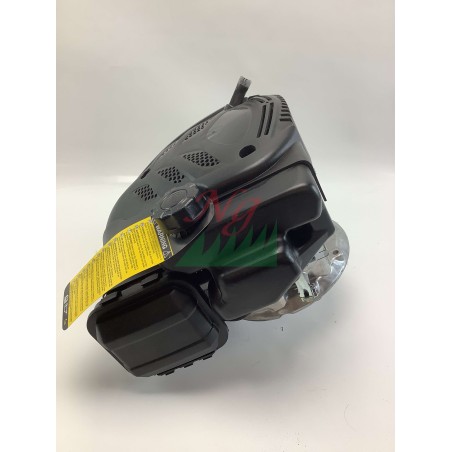 Motore completo GGP WBE140 LC1P65FE 140cc albero verticale 22x60mm avv. strappo