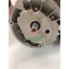 Moteur complet GGP 160 OHV 160cc arbre vertical 22x80 démarrage manuel | Newgardenstore.eu