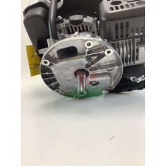 Motore completo LONCIN A166 166cc albero verticale 22x80mm avv. strappo | Newgardenstore.eu