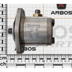 CASAPPA PL10-5 ORIGINAL GOLDONI 02030515 2-Loch-Flansch-Hydraulikpumpe