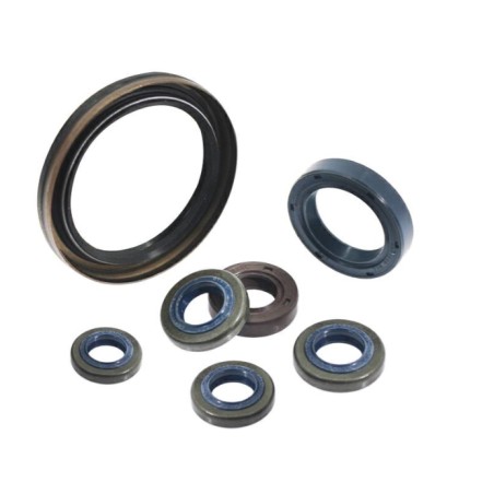 Oil seal 15x25x7 atomizer 3WFB-30E ORIGINAL KASEI 1E40FP-3Z-11 | Newgardenstore.eu