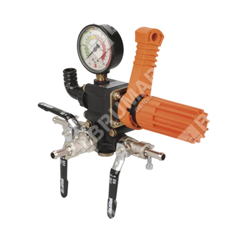 Pressure control valve assembly UNIVERSAL pump Bertolini C 75P 014493