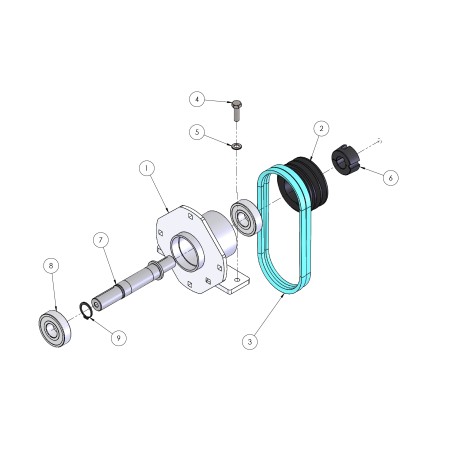 PULEGGIA118x2 ORIGINALE GRIN BCH-0113 (pic. n.2)