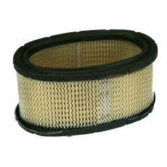 Filtro de aire tractor de césped cortacésped 11CV I/C BRIGGS & STRATTON 393725 | Newgardenstore.eu