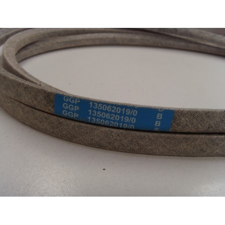 Mechanical lawn tractor drive belt CASTELGARDEN 135062019/0 SD98 ORIGINAL | Newgardenstore.eu