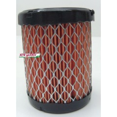 Filtro de aire tractor cortacésped AVS 21 BRIGGS ORIGINAL 796032 591583 | Newgardenstore.eu