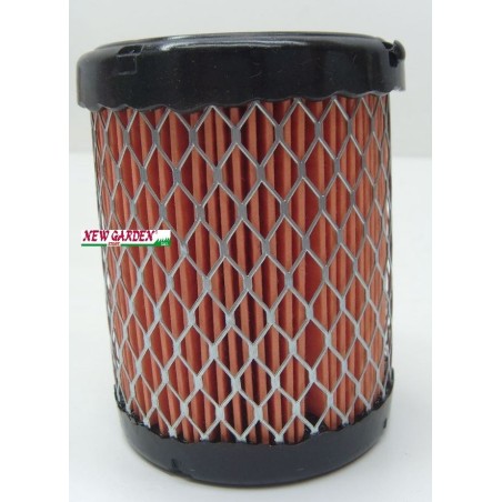 Filtro de aire tractor cortacésped AVS 21 BRIGGS ORIGINAL 796032 591583 | Newgardenstore.eu