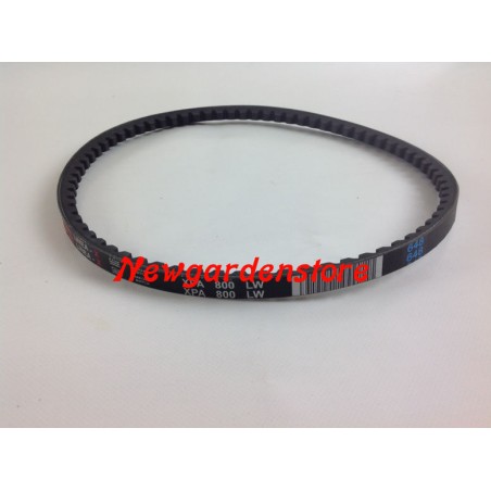 Courroie pour tracteur de pelouse BEE - FLY 300 - 700 GRILLO 54394 XPA800