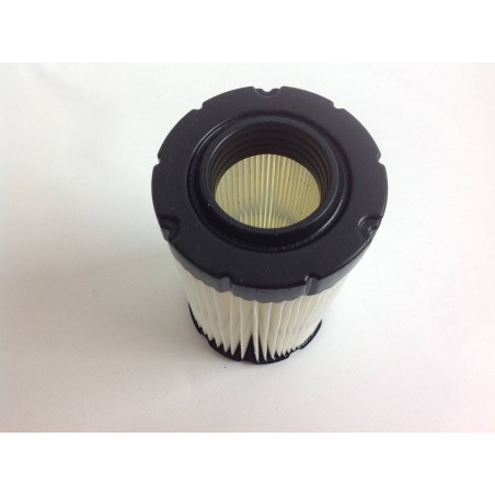 Filtro aria trattorino rasaerba tagliaerba AVS 31 BRIGGS&STRATTON 796031 192094 590825