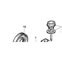 BAGUE D'ORIGINE KUBOTA GIANNI FERRARI AS 20X52X10 00777250007 | Newgardenstore.eu