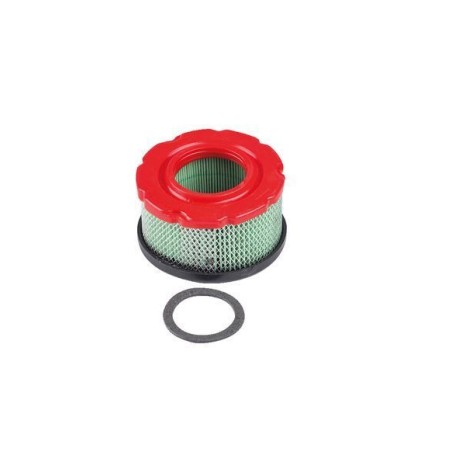 Filtre à air tracteur de pelouse tondeuse BRIGGS&STRATTON 797819 | Newgardenstore.eu