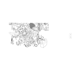 STAINLESS STEEL CLAMP 32-50 ORIGINAL KUBOTA GIANNI FERRARI 00111810034