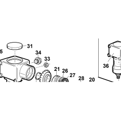 BOUCHON 3/8 AVEC RONDELLE EN CUIVRE ORIGINAL KUBOTA GIANNI FERRARI 95599670000 | Newgardenstore.eu
