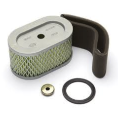 Filtro de aire tractor cortacésped motor VANGUARD 797033 797378 BRIGGS | Newgardenstore.eu